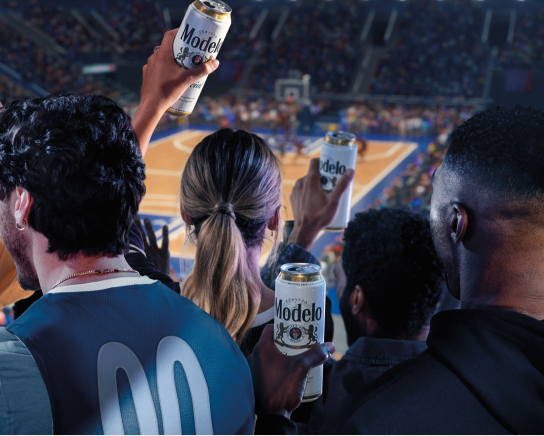 Follow Modelo All Season